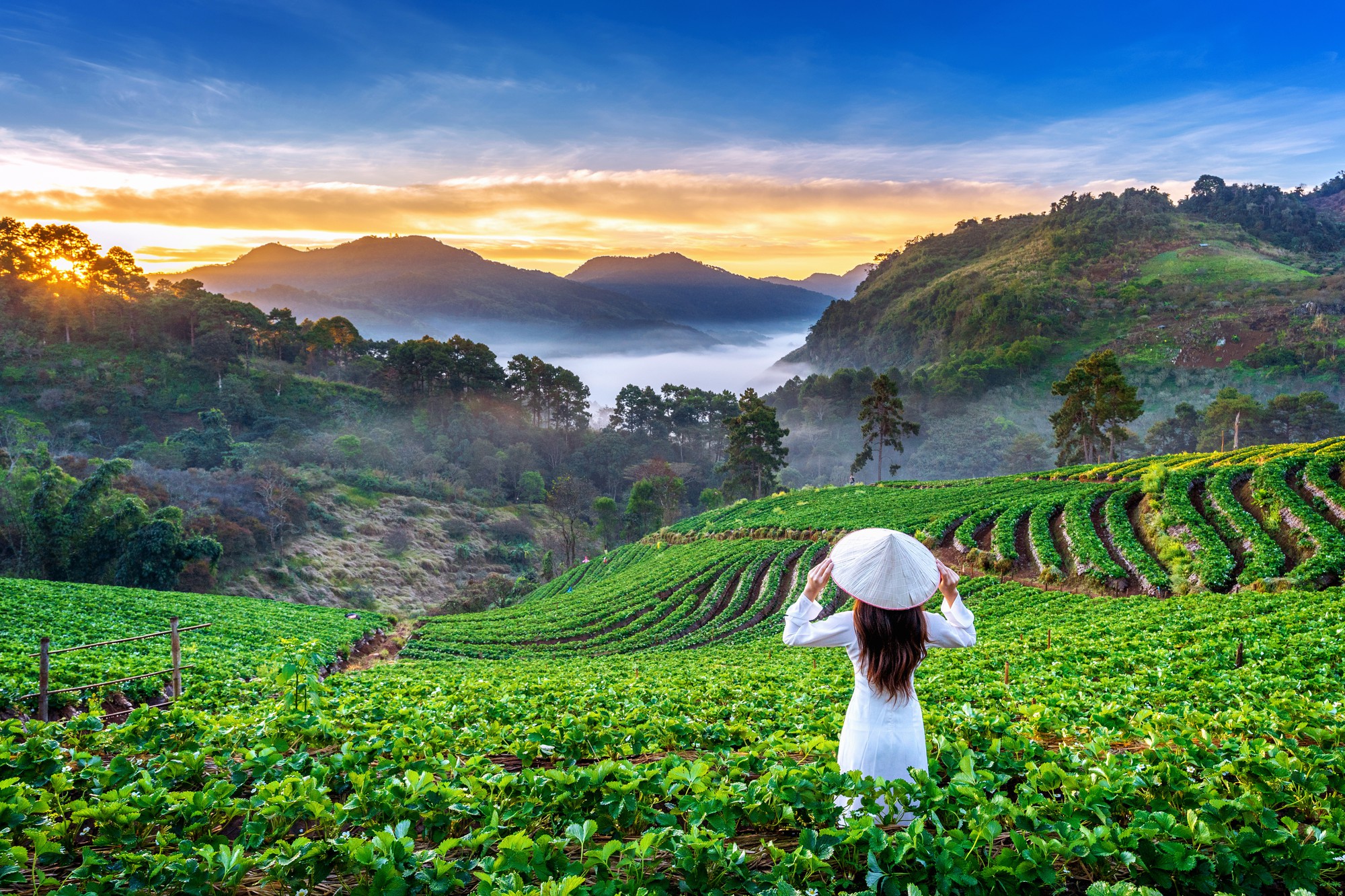 Shillong