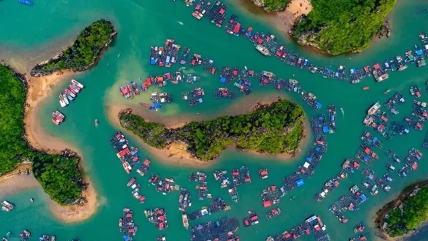 Majuli